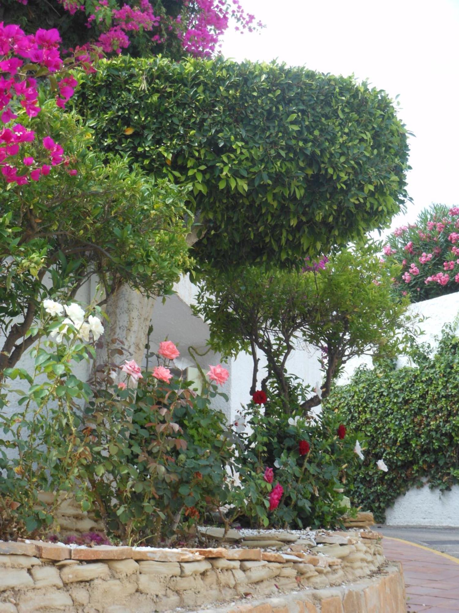 Las Palmeras Del Cantal Mojacar Exterior photo